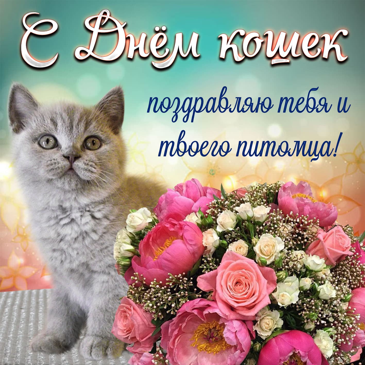 День кошек (62 изображения)