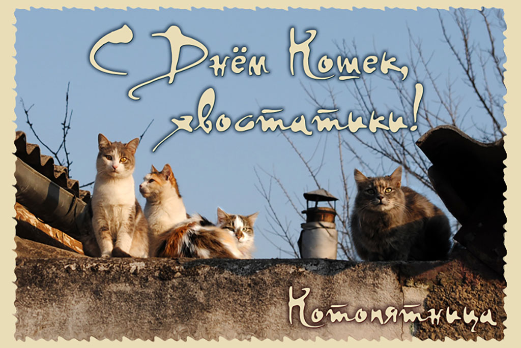 1 день весны и день кошек картинки. Международный день кошек. День кошек открытки. Международный день котов.