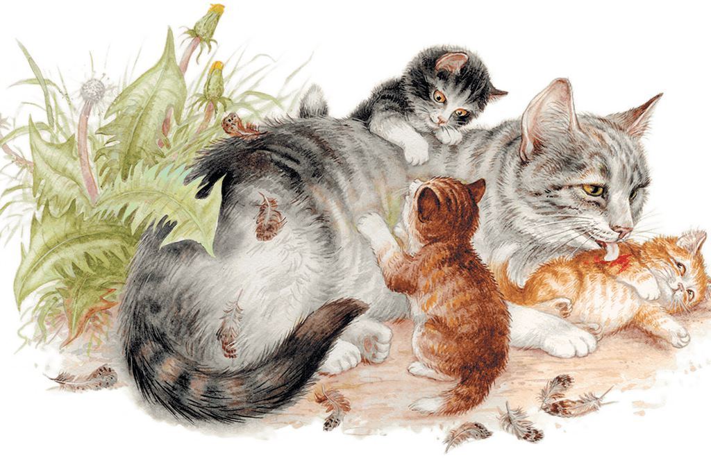 День кошек в россии 2024 год. День кошек. День кошек открытки. Международный день кошек открытки. Кошка иллюстрация.