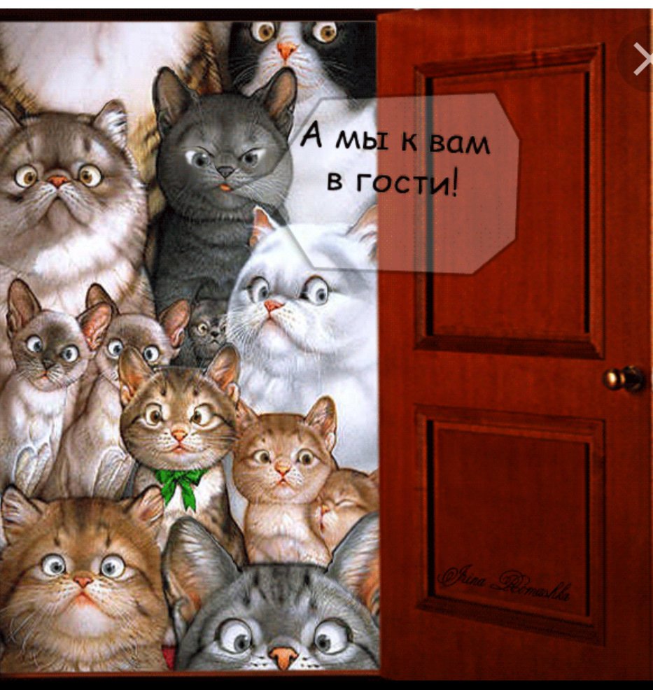 день кошек открытки