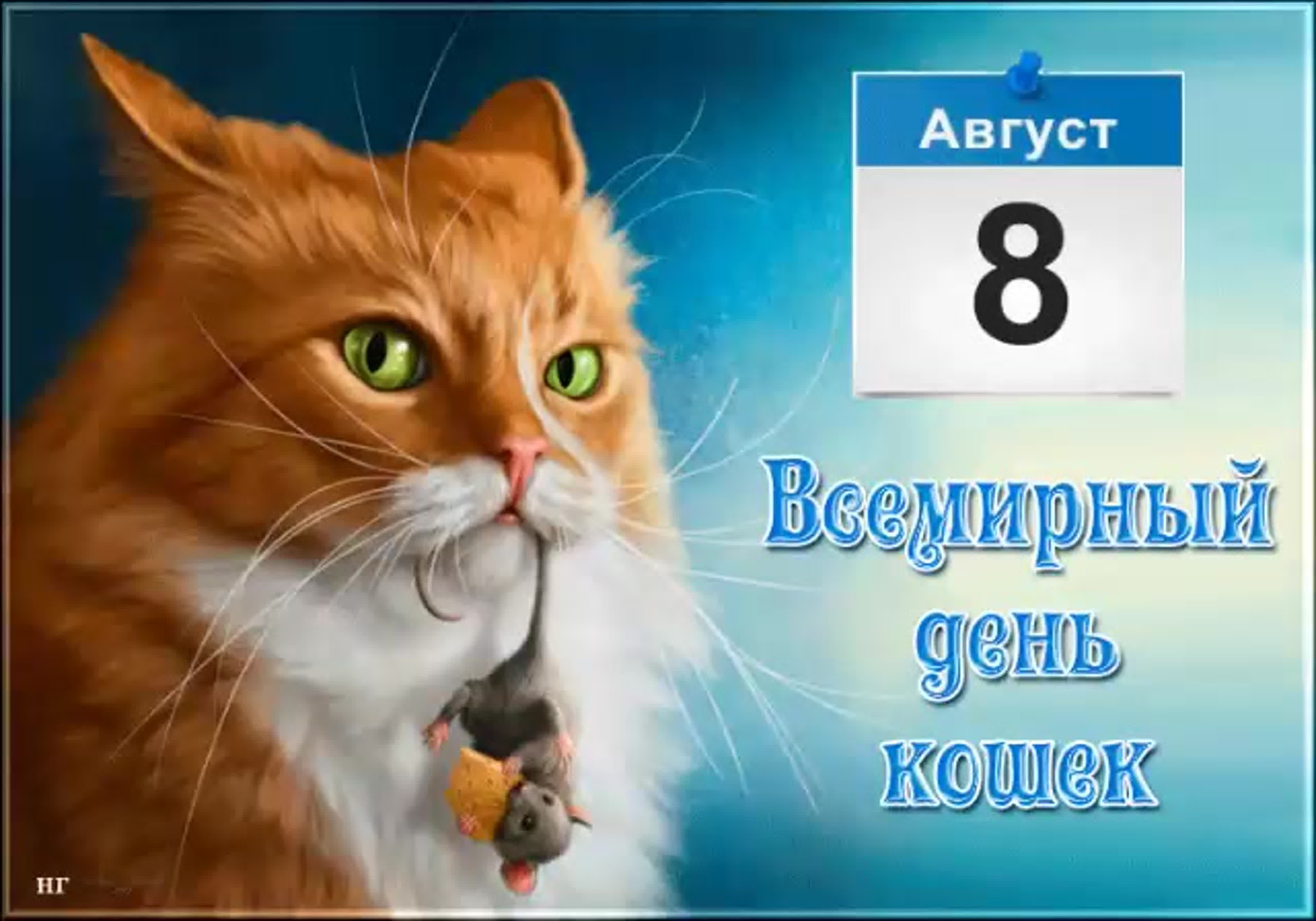 день кошек в россии