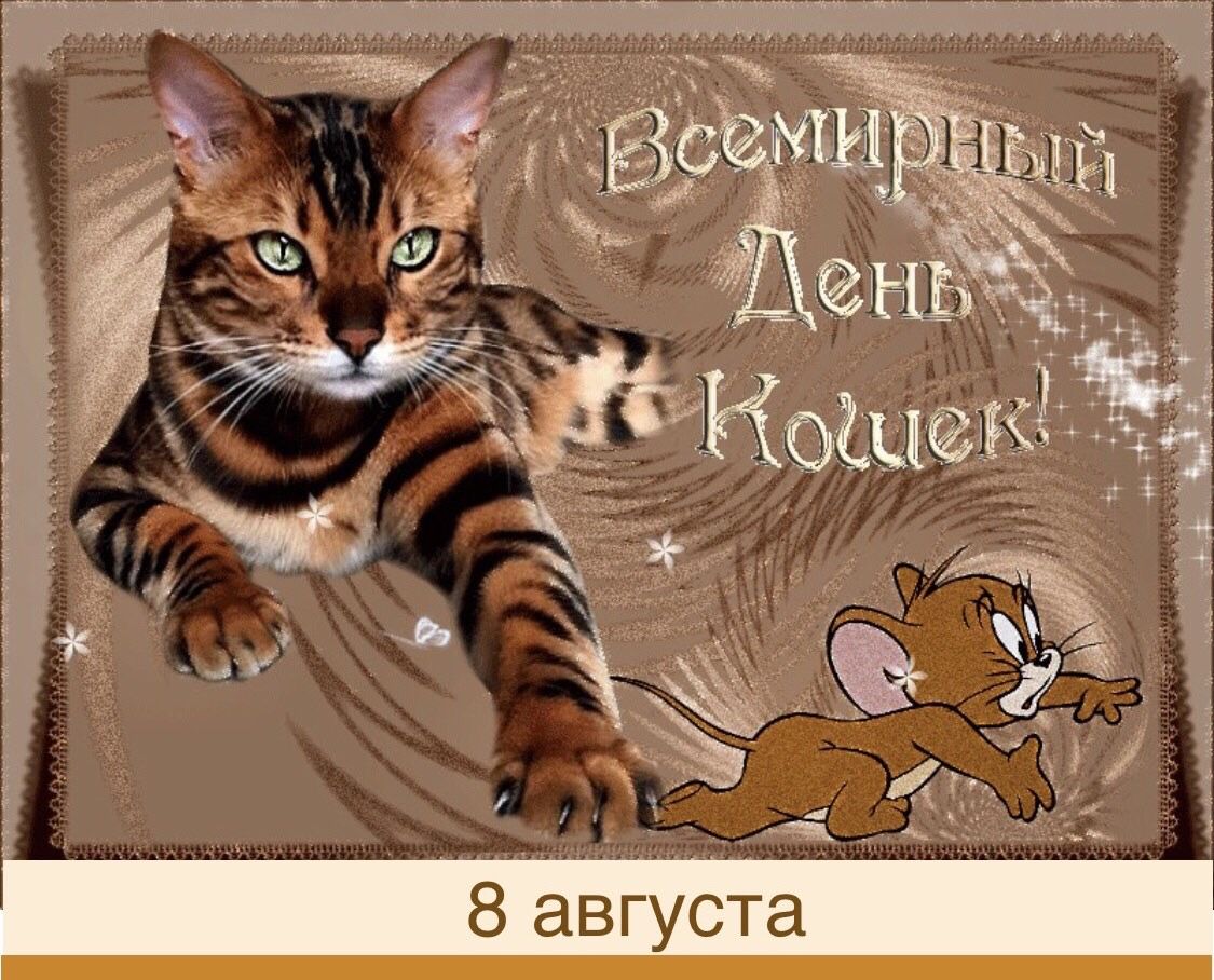 Бесплатные поздравления с днем кошек. Всемирный день кошек. Всемирный день кошек открытки. Всемирный день кошек 8 августа.