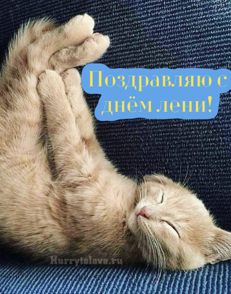 День лени (34 изображения)