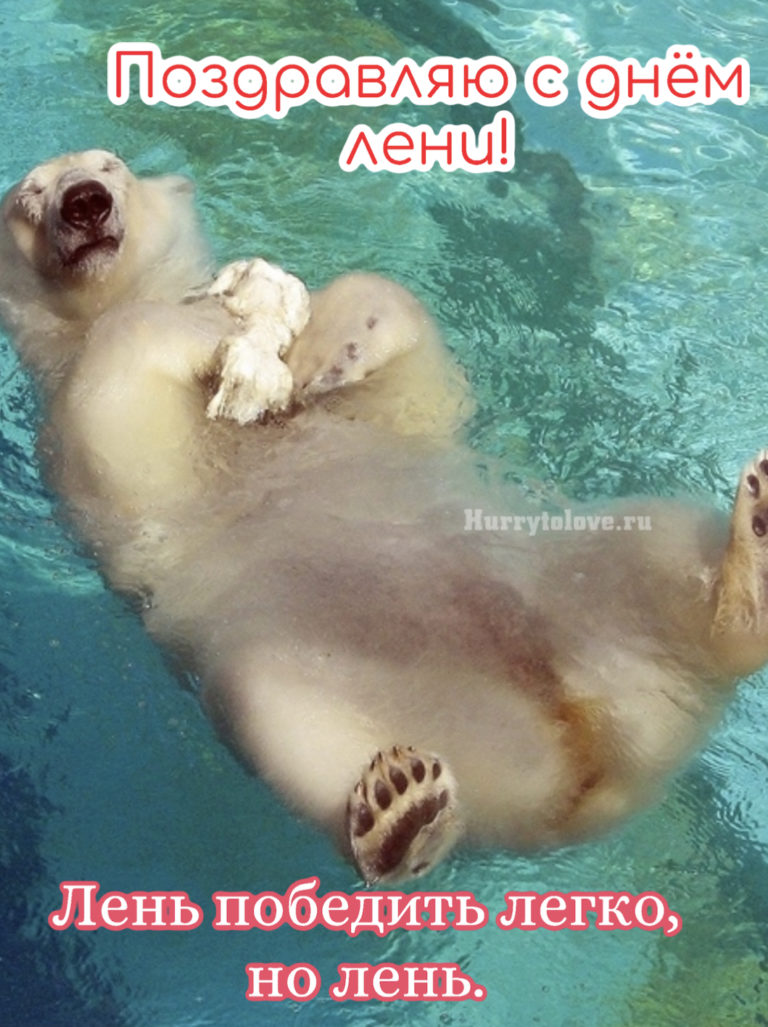 День лени (34 изображения)
