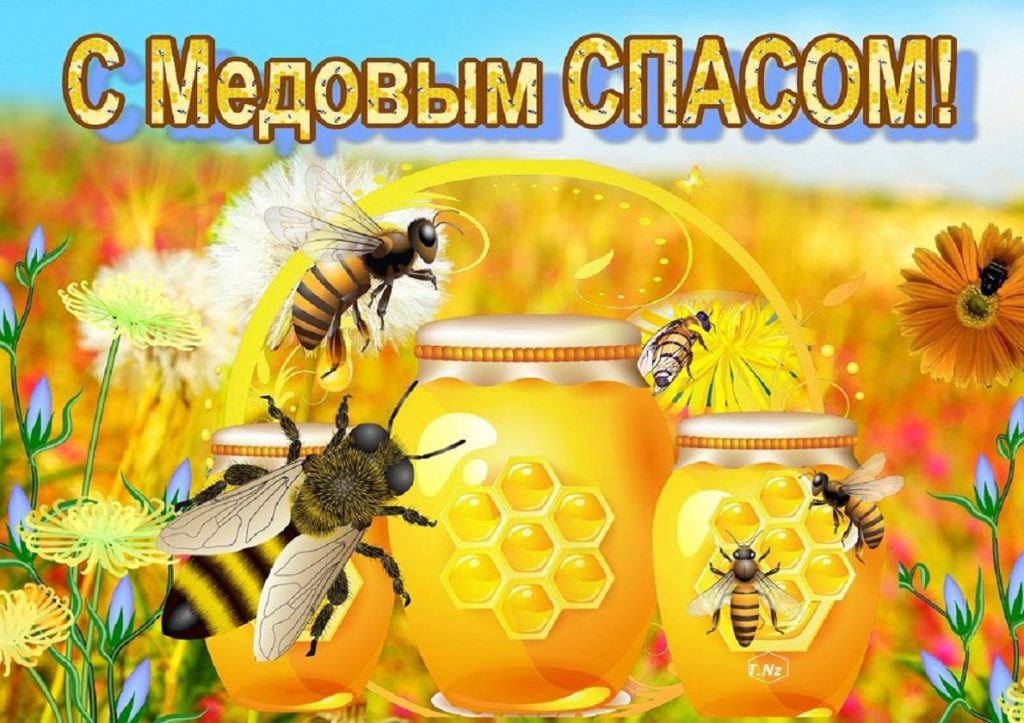 Медовый Спас (92 изображения)