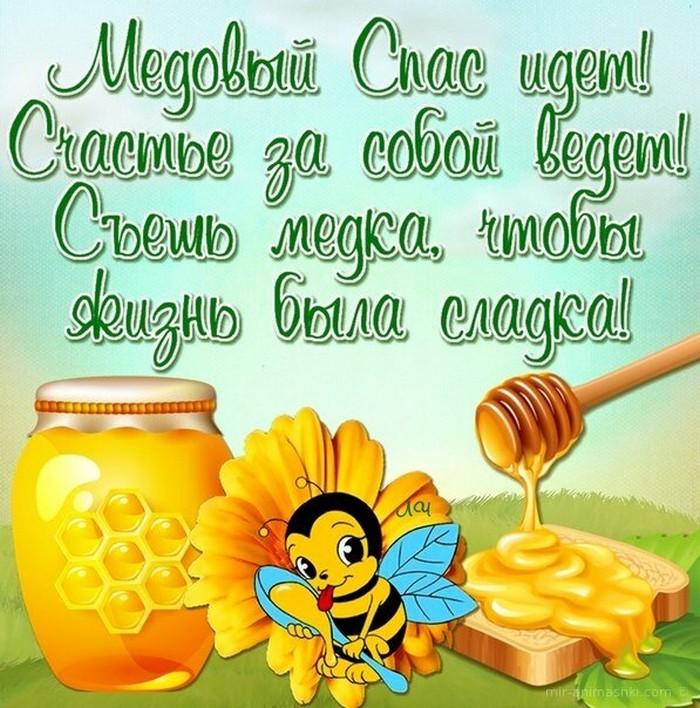 Медовый Спас (92 изображения)