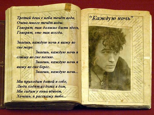 День памяти Виктора Цоя (98 изображений)