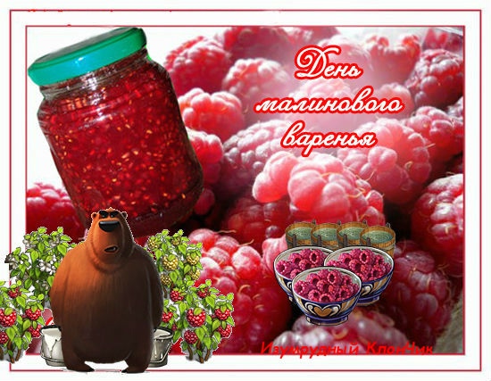 День малинового варенья (87 изображений)
