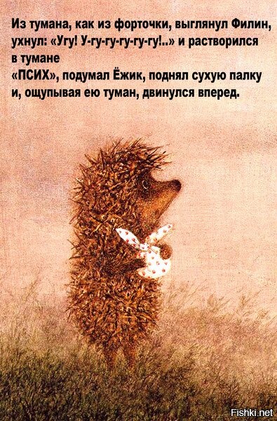 День лысых ежиков (104 изображения)