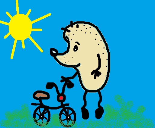 День лысых ежиков (104 изображения)