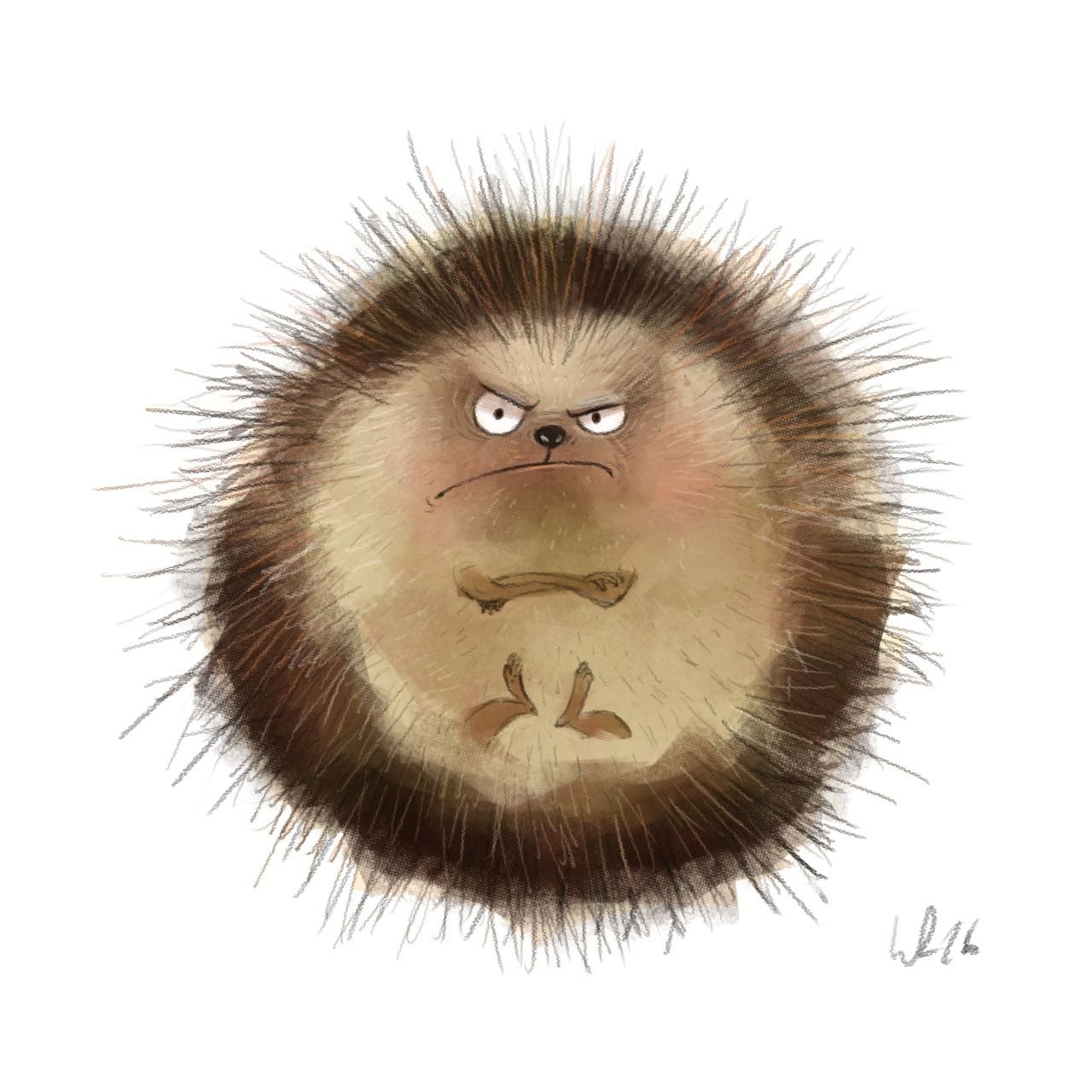 День лысых ежиков (104 изображения)