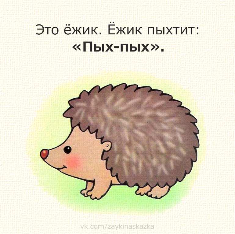 День лысых ежиков (104 изображения)