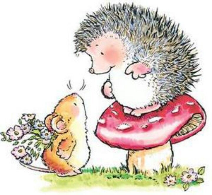 День лысых ежиков (104 изображения)