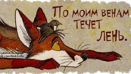 Всемирный день лени (99 изображений)