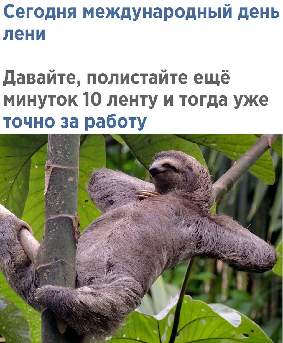 Всемирный день лени (99 изображений)