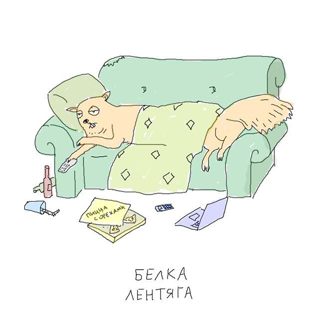 Всемирный день лени (99 изображений)