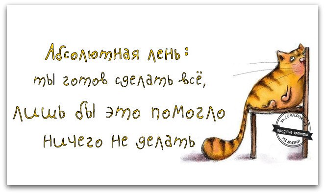 Всемирный день лени (99 изображений)