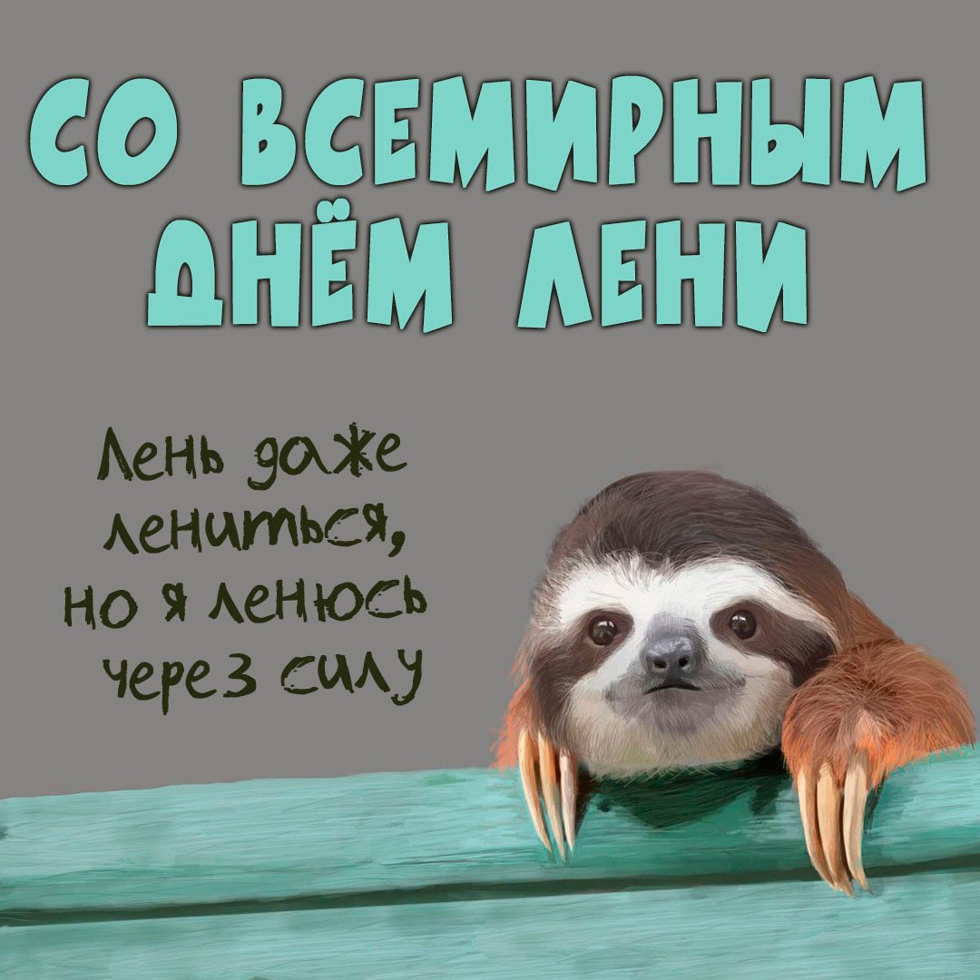 Всемирный день лени (99 изображений)