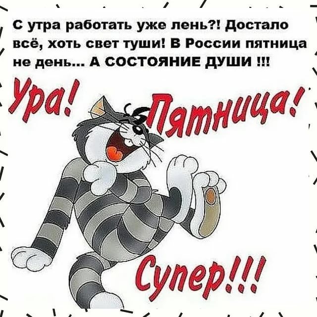 Всемирный день лени (99 изображений)