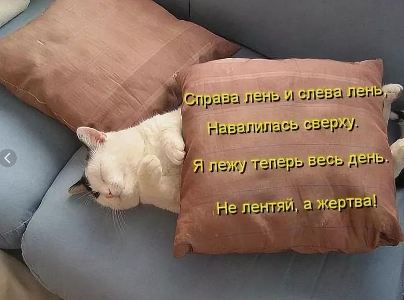 Смешные картинки про лень