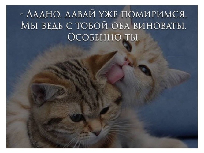 День "Поцелуемся и помиримся" (40 изображений)