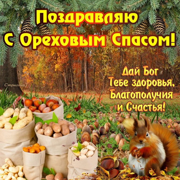 Ореховый Спас (69 изображений)
