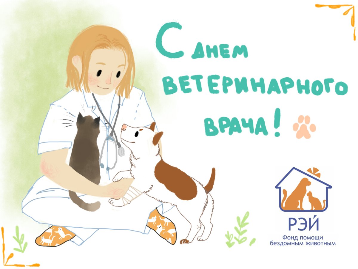 С днем ветеринара картинки
