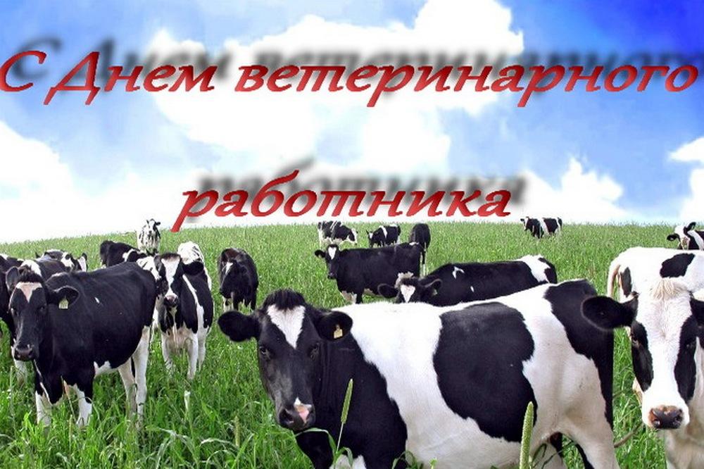 День ветеринара поздравления в картинках