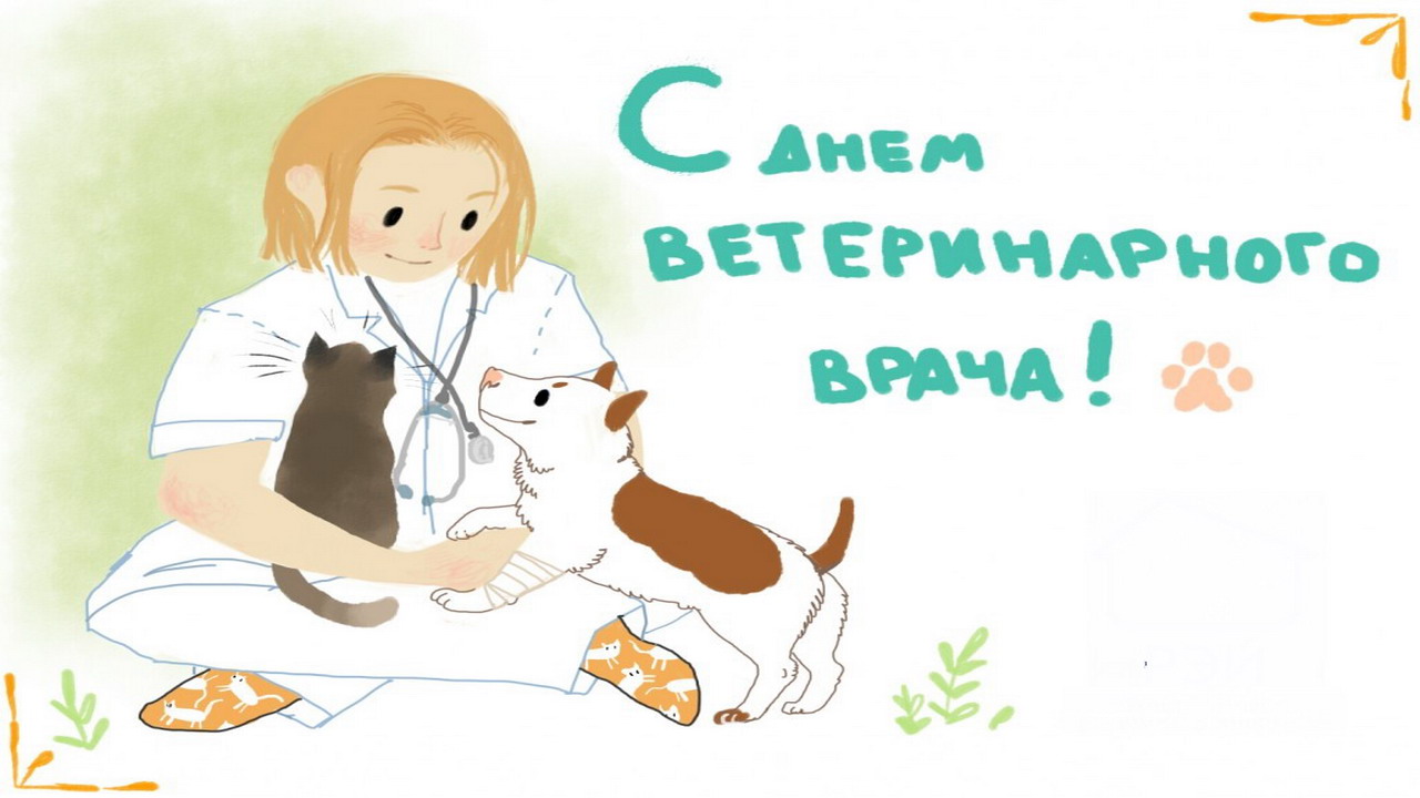 С днем ветеринара картинки