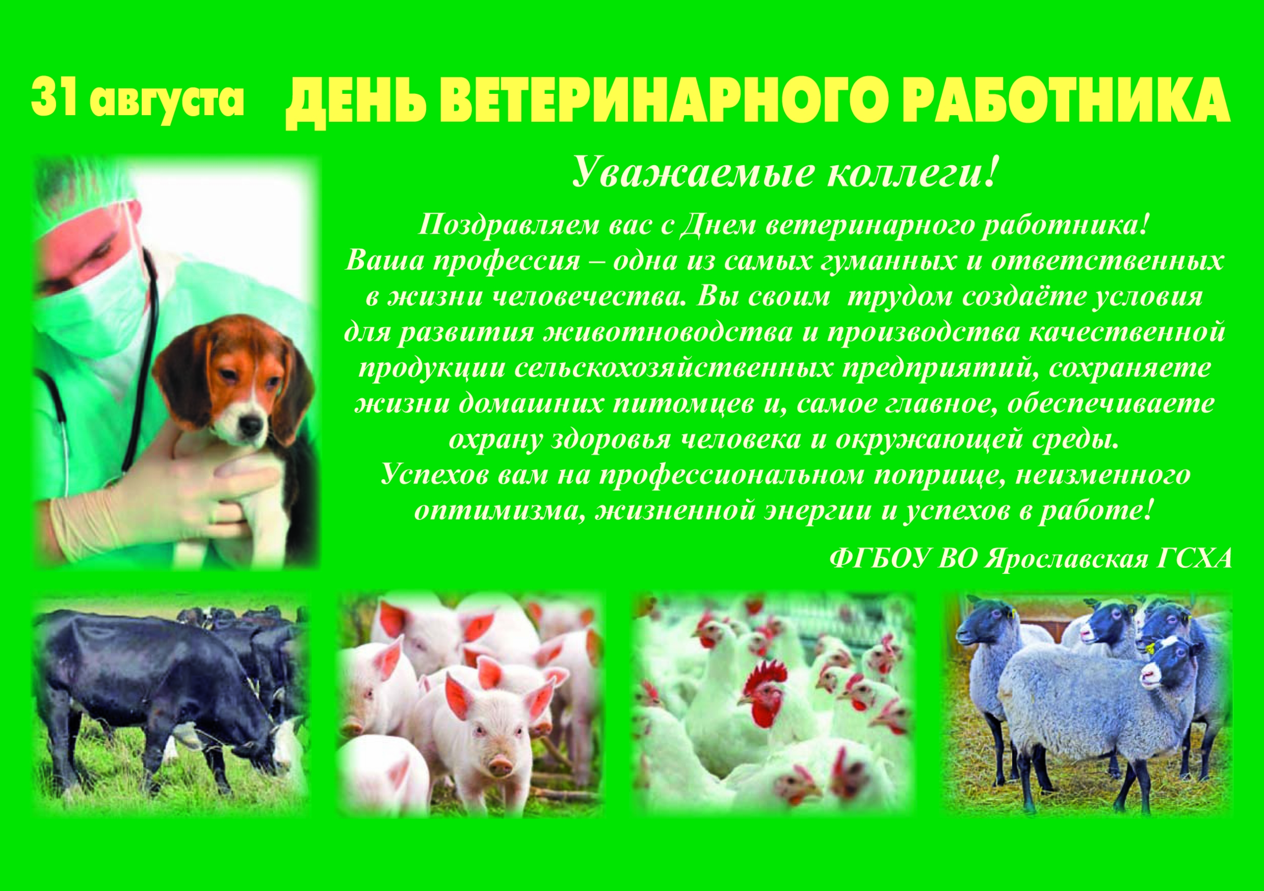 Картинки к дню ветеринара