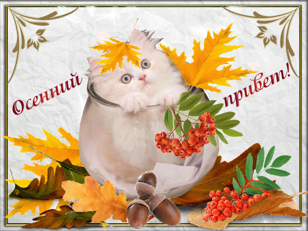 Осеннего настроения доброго утра. Осенние открытки. Хорошего осеннего дня. Осенний привет. Открытки осенний привет.