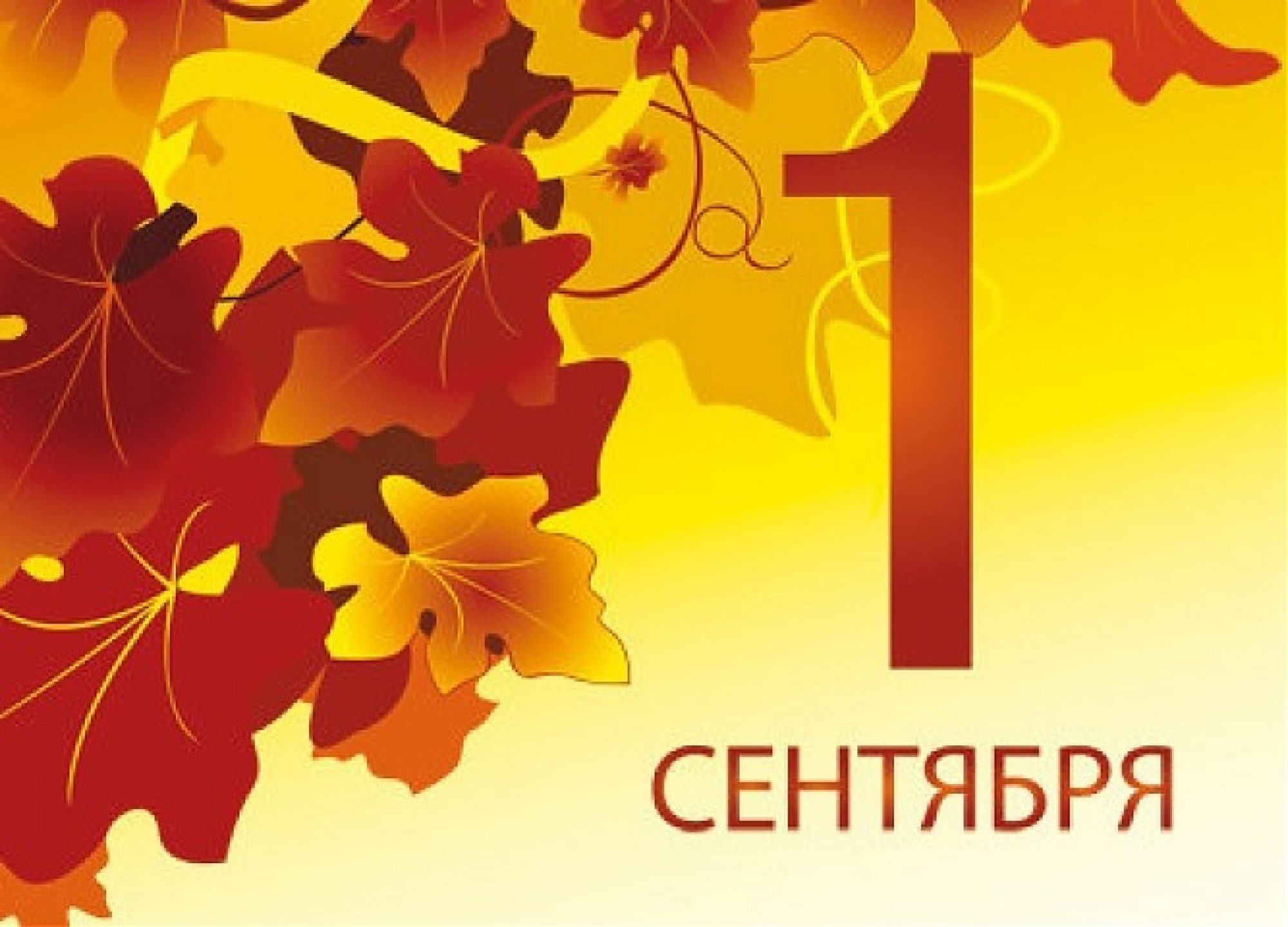 День знаний (104 изображения)