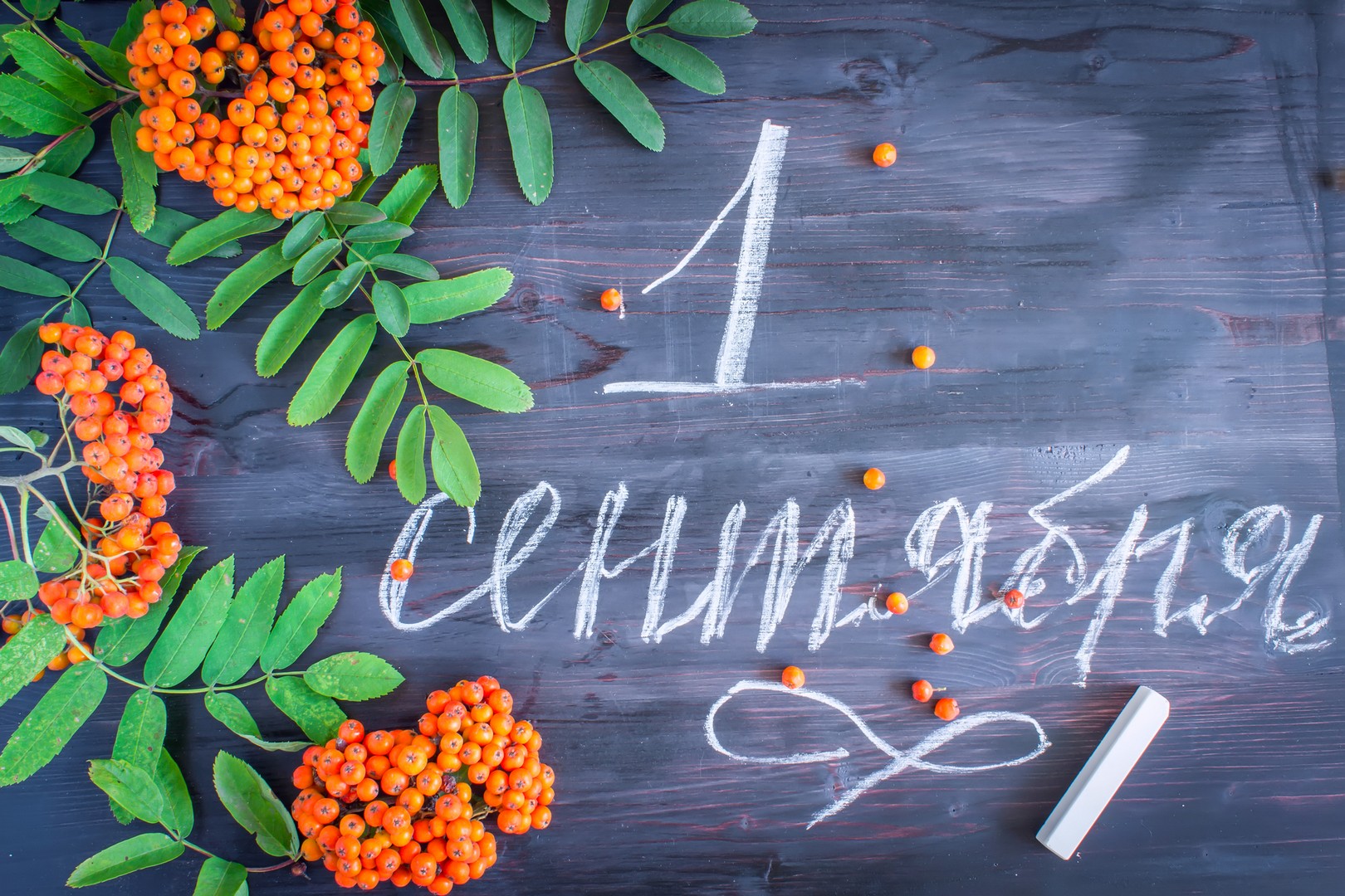 День знаний (104 изображения)