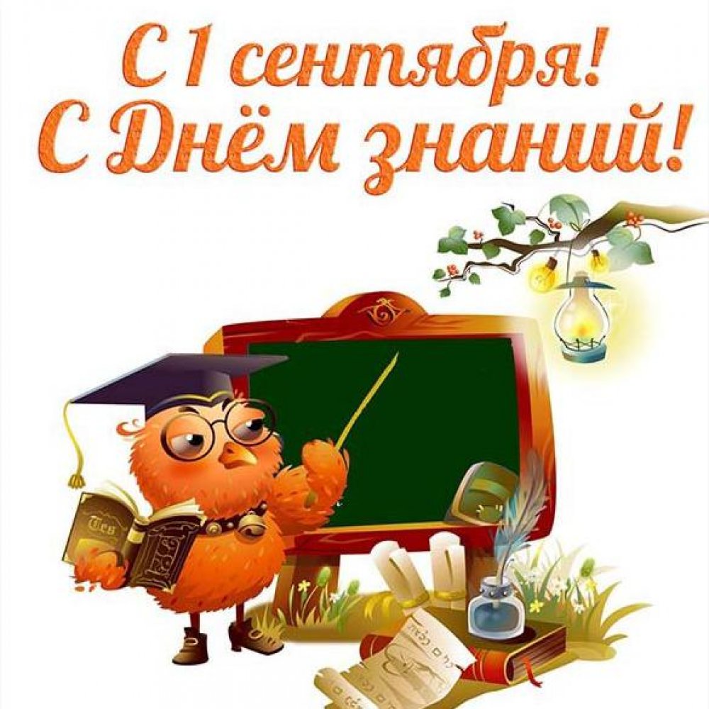 День знаний (104 изображения)