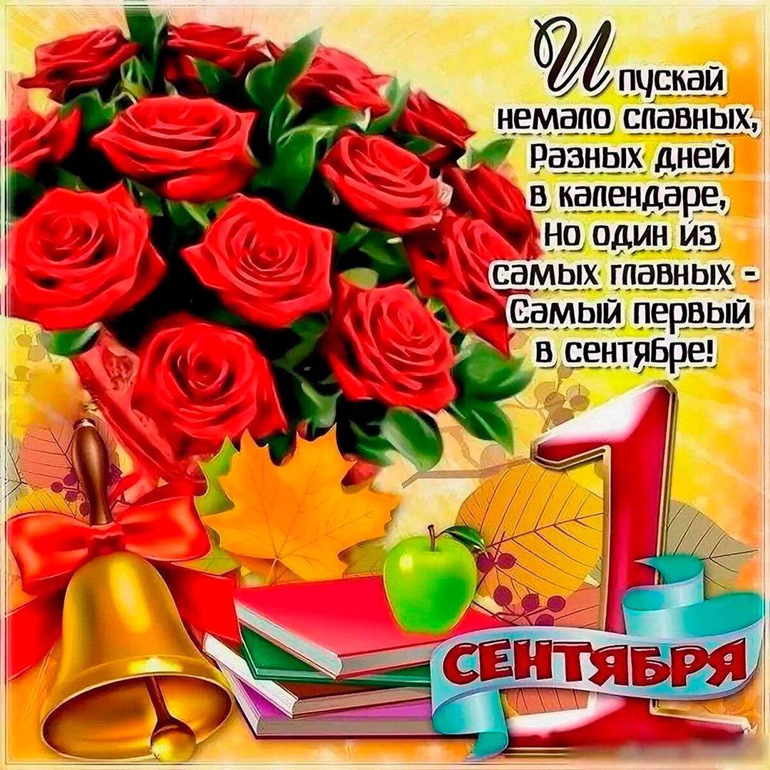 День знаний (104 изображения)