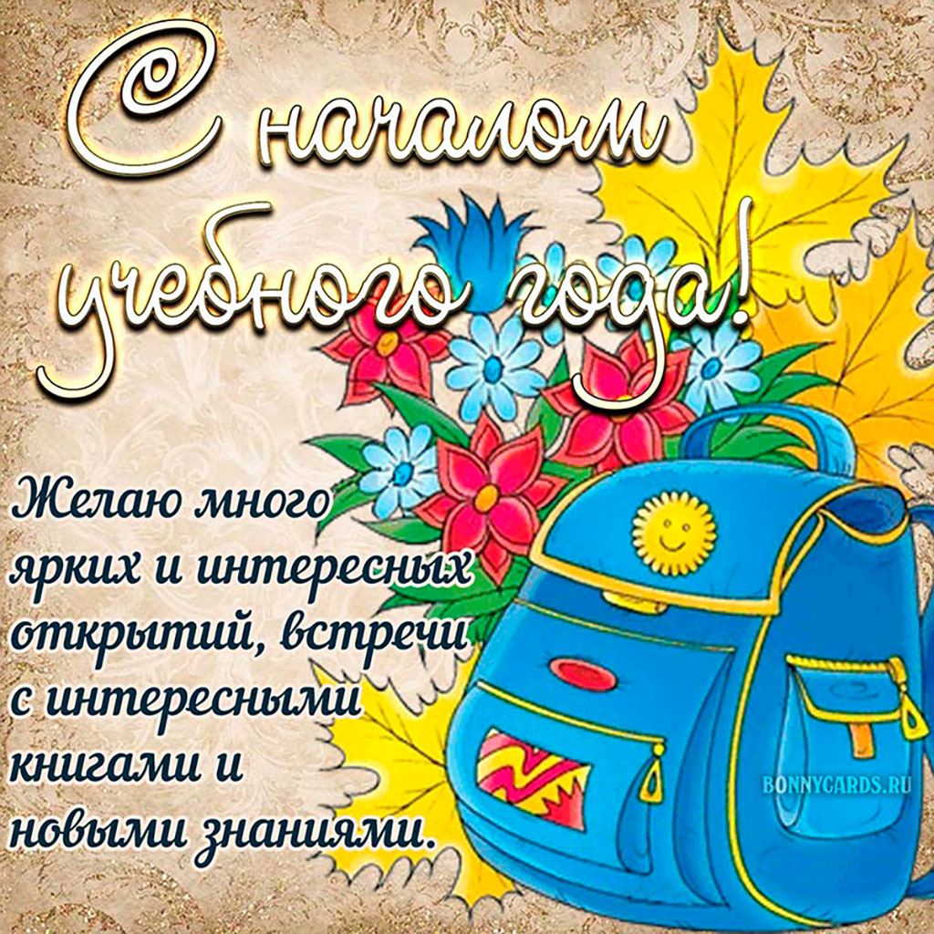 День знаний (104 изображения)