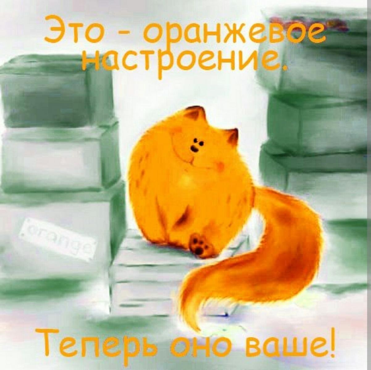 Оранжевый день (118 изображений)