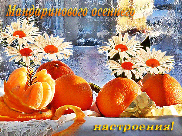 Оранжевый день (118 изображений)
