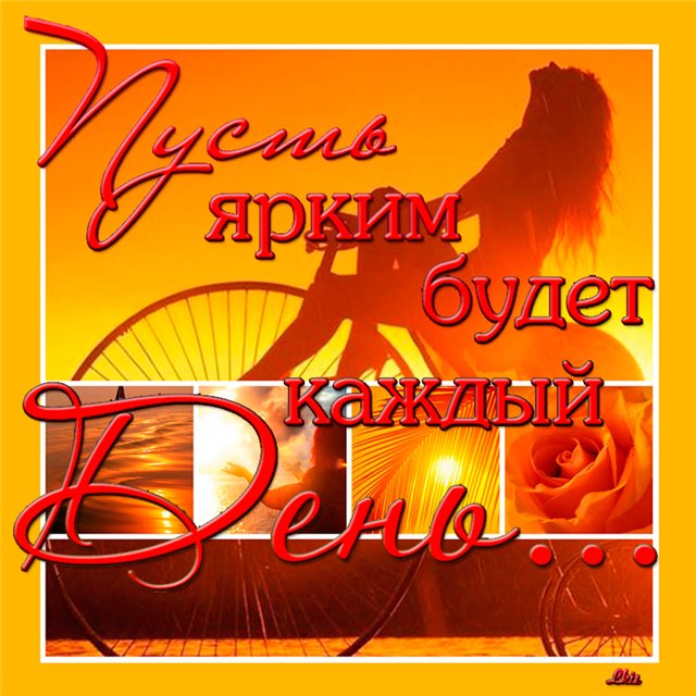 Оранжевый день (118 изображений)