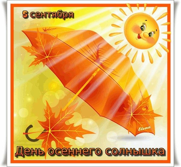 Оранжевый день (118 изображений)