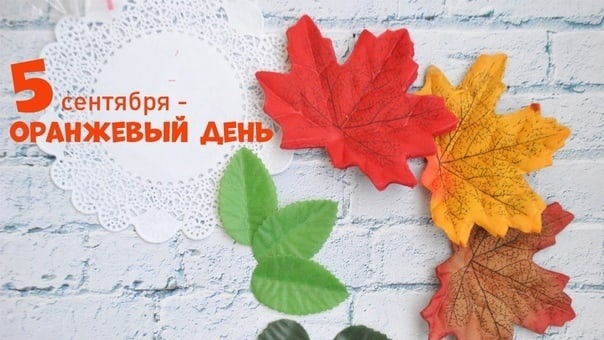 Оранжевый день (118 изображений)