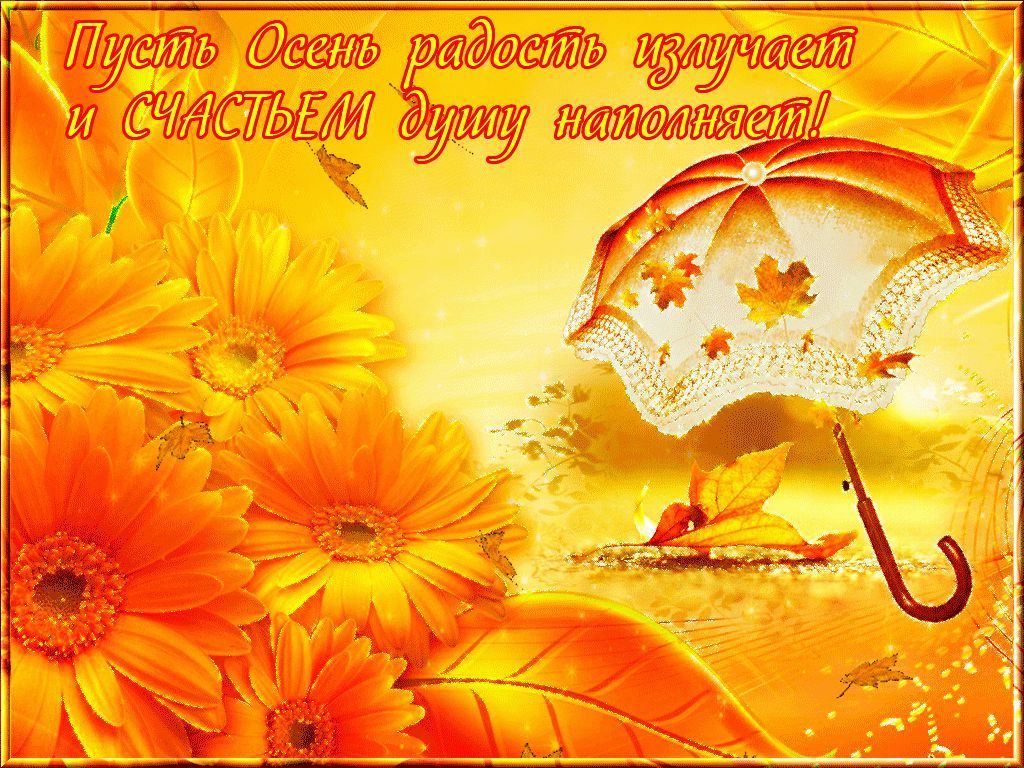 Оранжевый день (118 изображений)