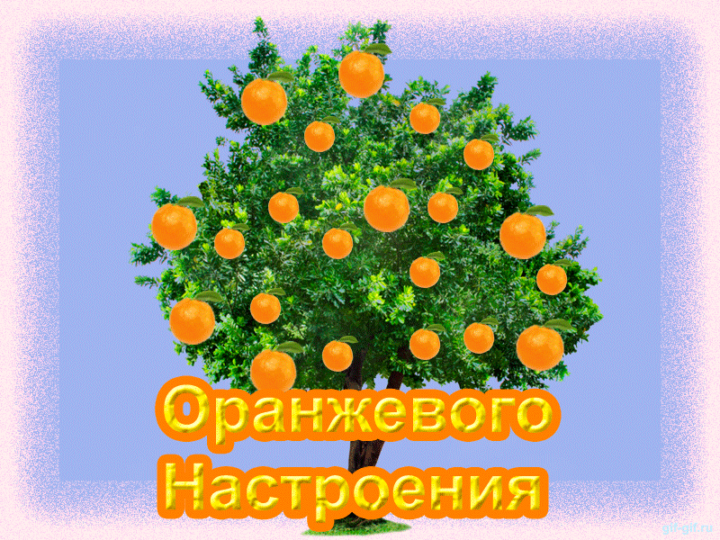 Оранжевый день (118 изображений)