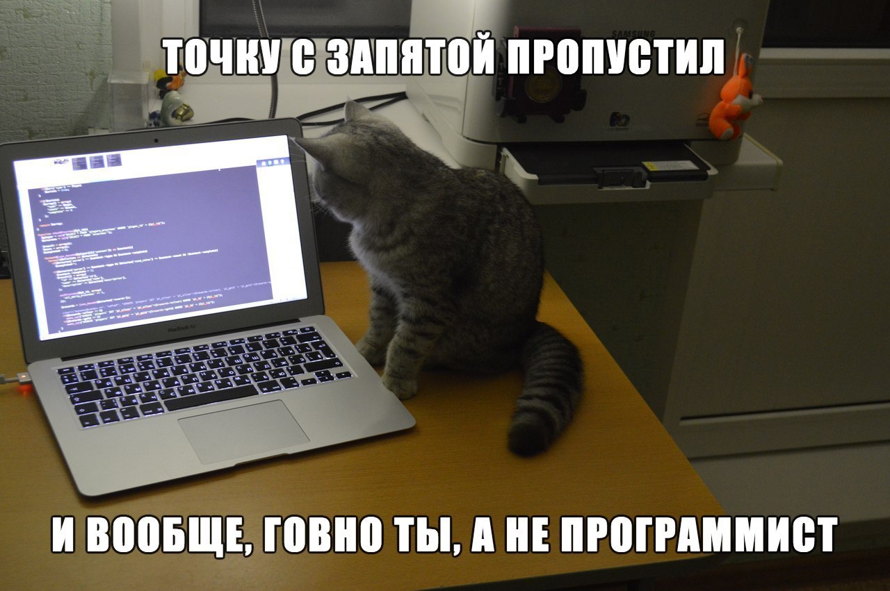 День тестировщика (75 изображений)