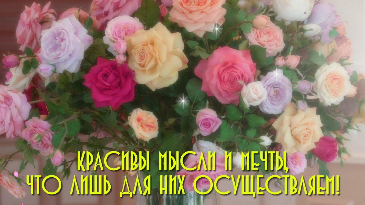 День красоты (80 изображений)