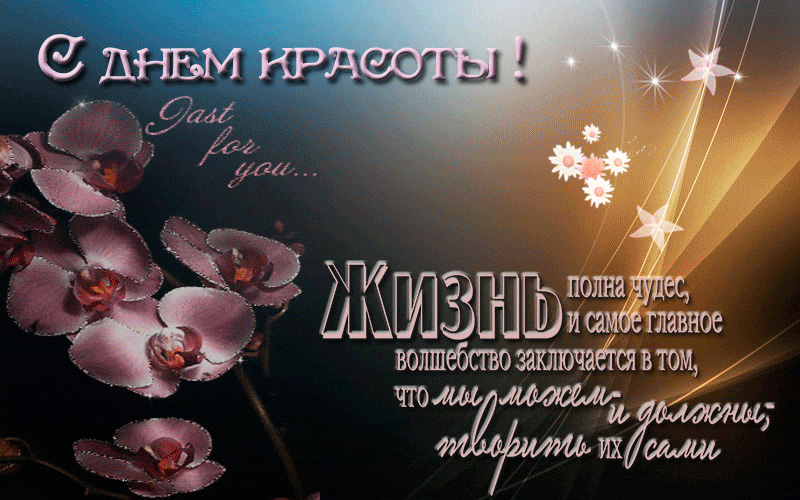 День красоты (80 изображений)