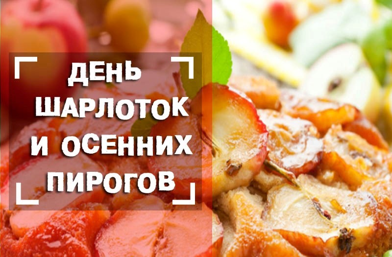 Шарлотки и осенние пироги