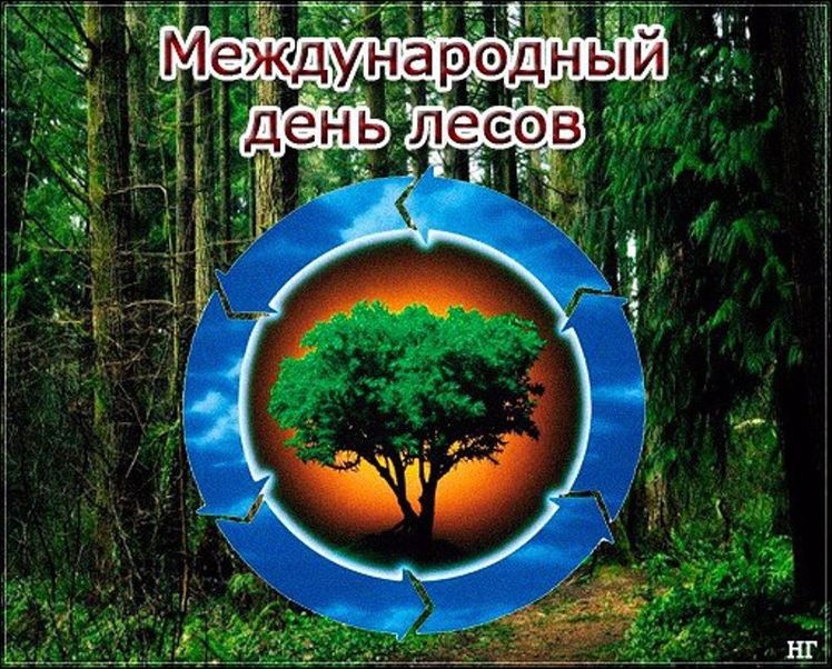 День леса (76 изображений)