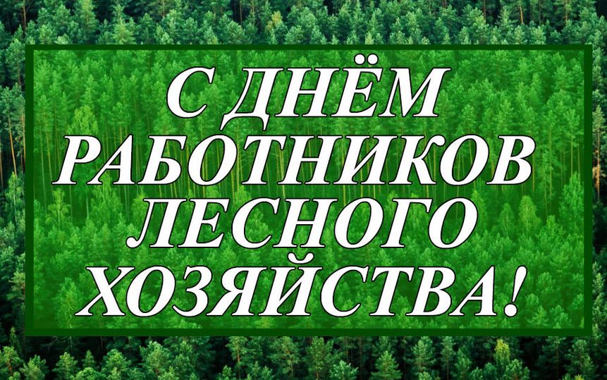 День работников леса (96 изображений)