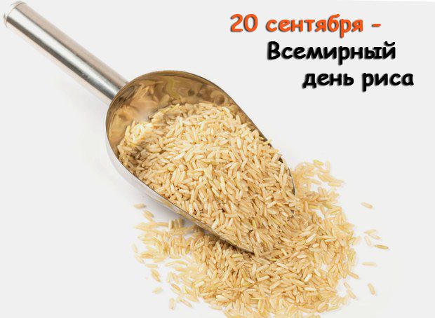 Rice 20. Всемирный день риса. Международный день риса 20 сентября. Рис юбилей. Картинки 8 ноября день риса.
